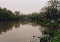 Central Park, New York City, April 24, 2006