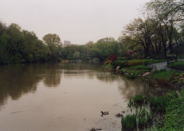 Central Park