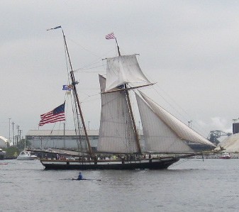 Lynx, Baltimore clipper